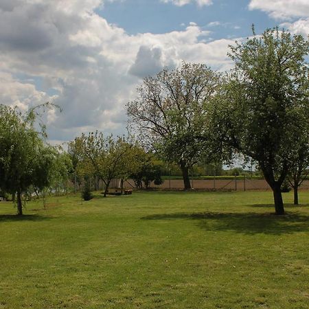 Das Blaue Haus Guesthouse - Kovacshida Bagian luar foto