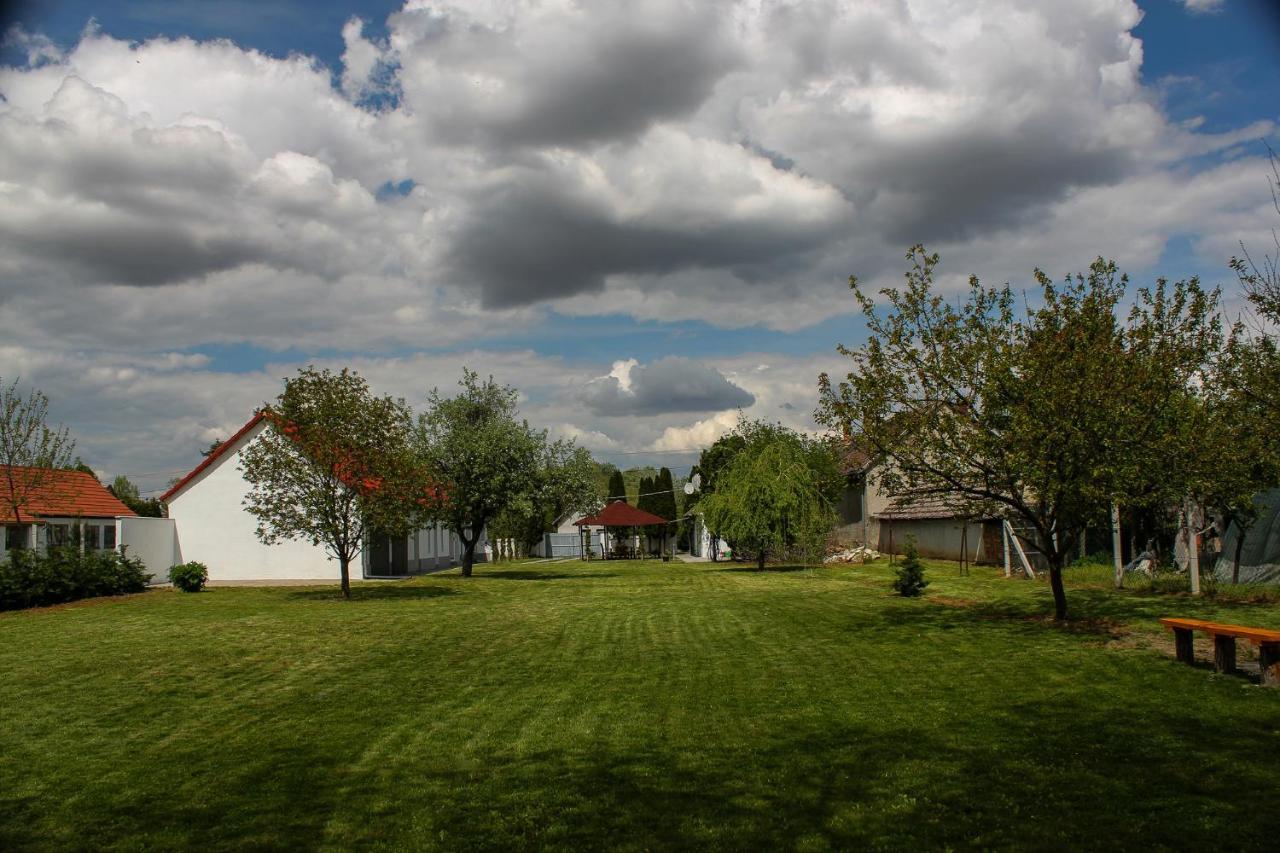 Das Blaue Haus Guesthouse - Kovacshida Bagian luar foto